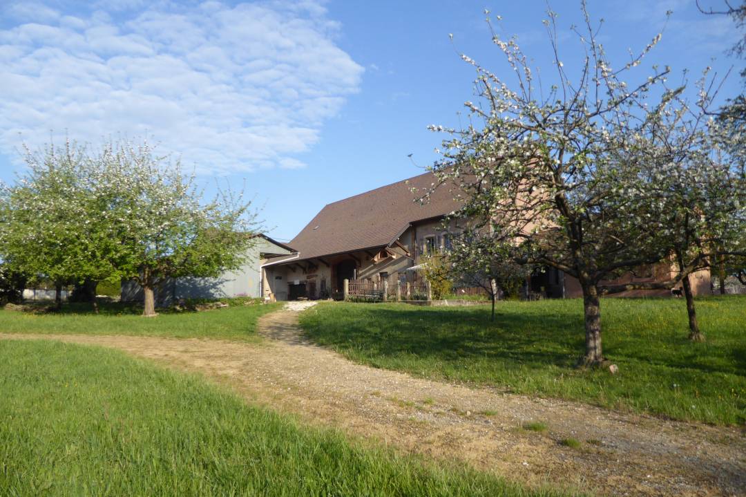 Le bâtiment de la ferme vu du hangar
